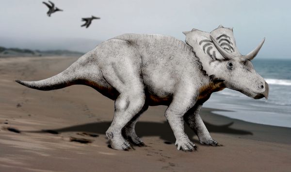 A white, horned dinosaur walks on a sandy beach with the ocean in the background. Two birds fly above, creating a prehistoric atmosphere.