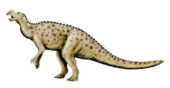 Illustration of a prehistoric dinosaur, possibly an Iguanodon, with a tan, spotted body. It stands on two legs with a long tail and slightly open mouth.