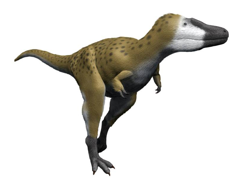 Alt text: "3D rendering of a bipedal dinosaur, Theropod, with mottled brown skin and dark spots. It has a long tail and an alert, forward-facing posture."