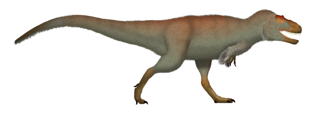 Illustration of a fluffy dinosaur walking right, with sharp teeth and small arms. Its fur is creamy with orange hues on the head and back.