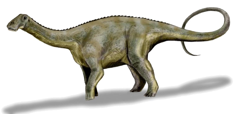 Nigersaurus Sheds Light on Dinosaur Evolution and Specialized Survival!