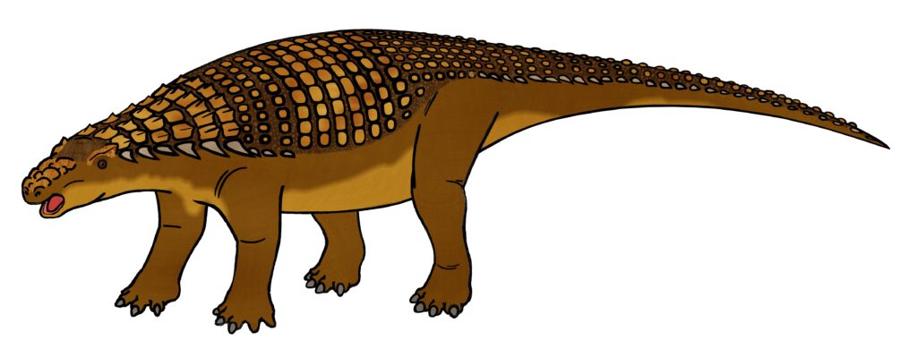 Illustration of a Scelidosaurus with a brown, scaly body and armored back, walking on four legs. It has a long tail and an open mouth, conveying a neutral tone.
