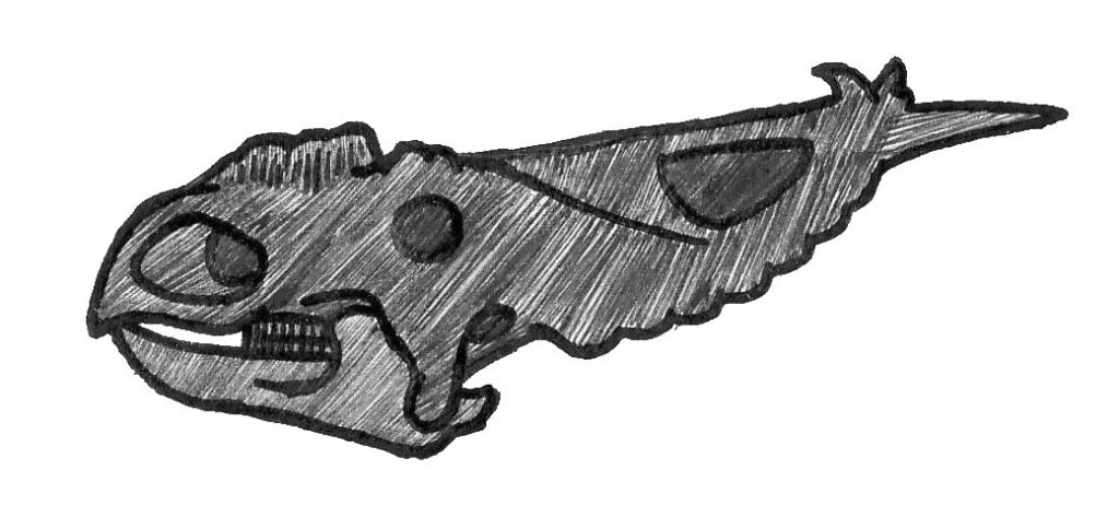 Pencil sketch of a stylized, cartoonish fish with exaggerated features, including large eyes, a sharp mouth, and textured scales, conveying a playful tone.