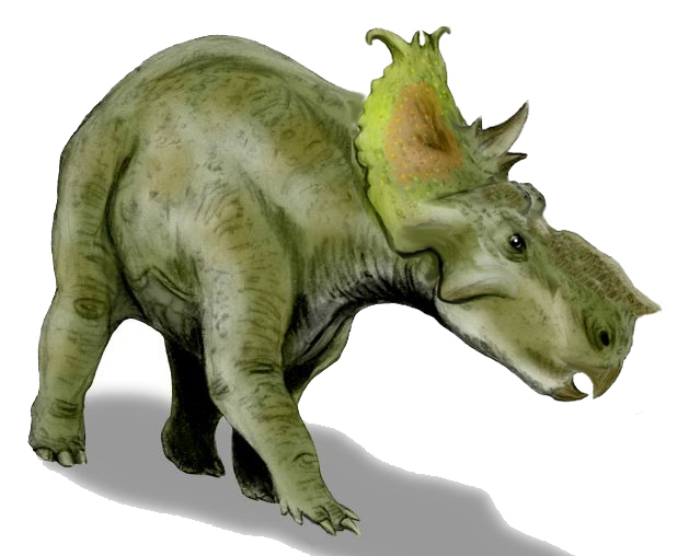 Illustration of a Pachyrhinosaurus, a green, horned dinosaur with a frill, walking. It casts a shadow, conveying strength and movement.