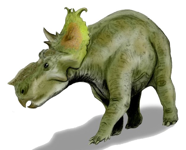 Illustration of a green dinosaur with a horned face and frilled, spiked crest. It has a bulky body and casts a shadow on a white background.