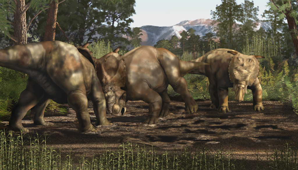 Three large dinosaurs with bony frills and horns face each other in a lush, prehistoric forest. Mountains loom in the background under a clear sky.