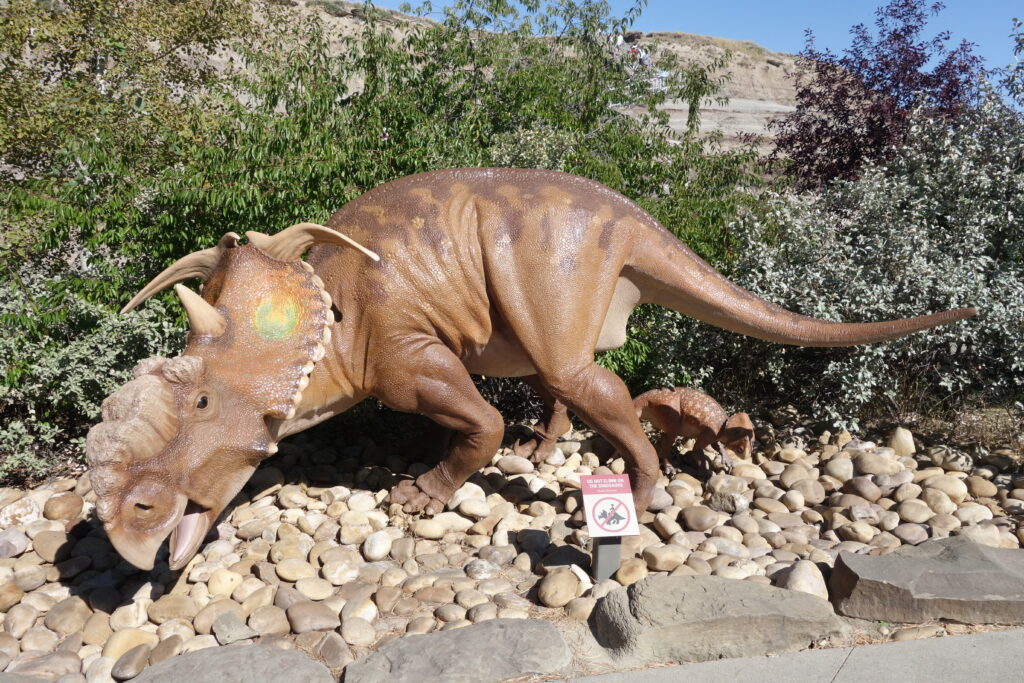 Dinosaur statue outdoors, resembling a brown triceratops with three horns, stands on rocks surrounded by green foliage, next to a "Do Not Climb" sign.