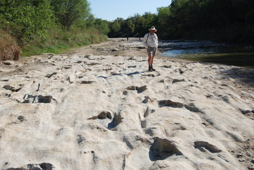 A person in outdoor clothing and a hat walks on a rocky surface marked with dinosaur footprints, near a riverbank surrounded by lush green trees.