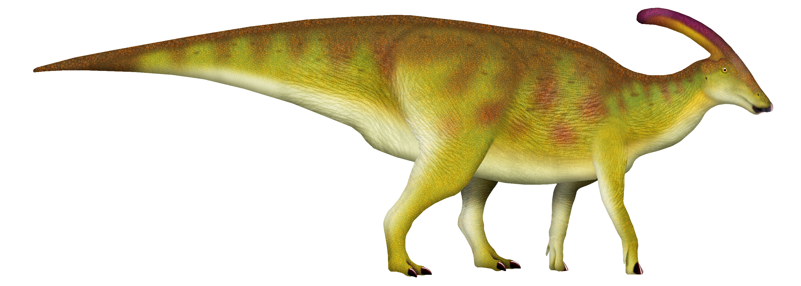 Illustration of a Parasaurolophus dinosaur, featuring a vibrant green and yellow body with red accents and a distinctive curved head crest, on a white background.