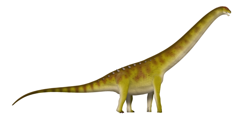 Illustration of a long-necked, yellow and brown sauropod dinosaur with a long tail and back spikes, standing on four legs against a black background.