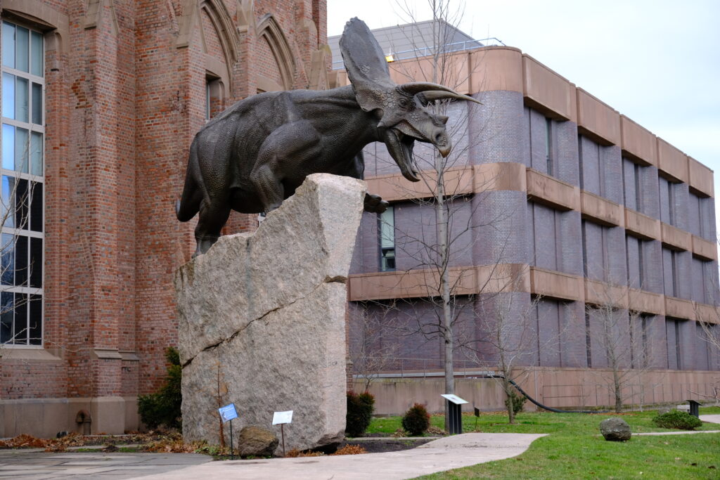 A large torosaurus statue stands on a rock pedestal outside a brick building. The scene is set in a grassy courtyard with a modern building nearby.