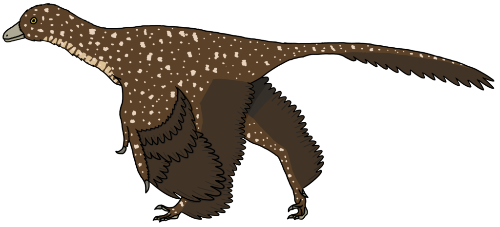 Illustration of a brown feathered dinosaur with white speckles, long tail, and small wings. The dinosaur has a bird-like posture, conveying agility.