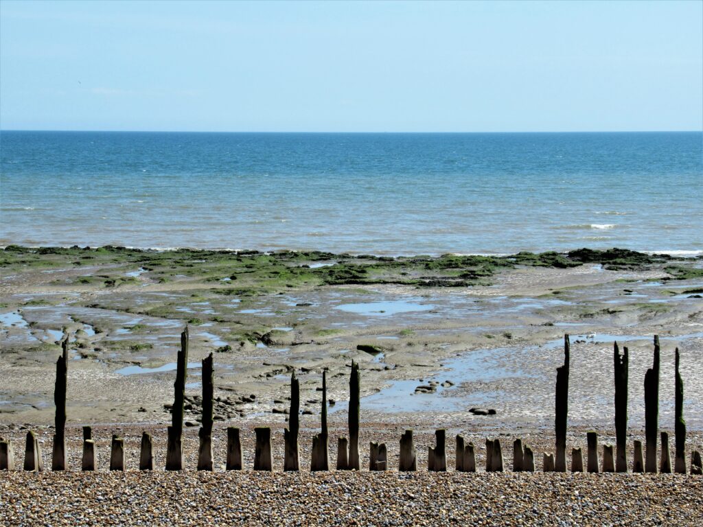 Weathered wooden posts line a rocky beach, leading to a tide-exposed seabed with patches of green algae. Calm blue ocean meets a clear sky.