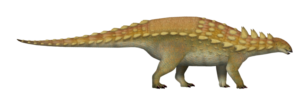 Illustration of a Polacanthus dinosaur with a spiky back, reddish-brown and yellow scales, and a long tail. The dinosaur stands in profile.