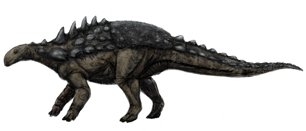 Illustration of a large, armored dinosaur with dark, rugged scales and pronounced spikes along its back and tail, set against a white background.