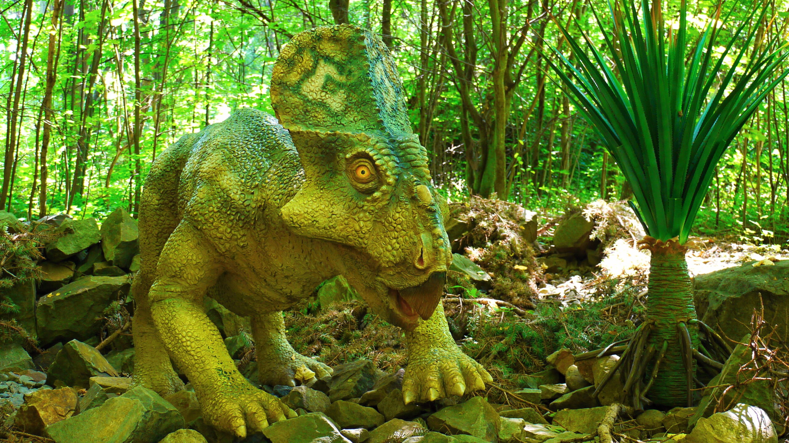A realistic dinosaur model resembling a ceratops stands alert on rocky terrain in a lush, sunlit forest, near a spiky green plant, conveying a prehistoric vibe.