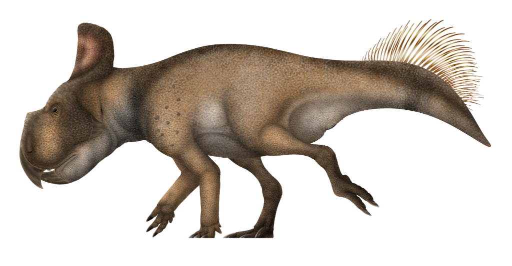 Illustration of a brown dinosaur with a beak-like mouth, small frilled crest, and spiky tail, walking on four legs. Its skin is textured and earthy-toned.