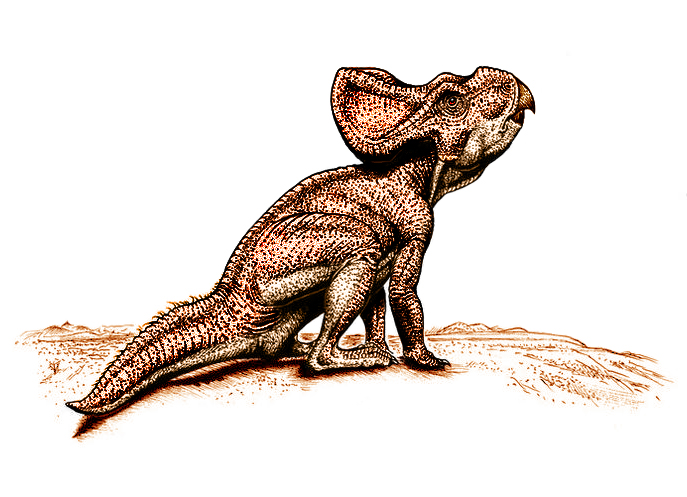 Illustration of a baby chasmosaurus sitting on barren ground. The dinosaur has textured, reddish-brown skin and a large frilled head, conveying curiosity.