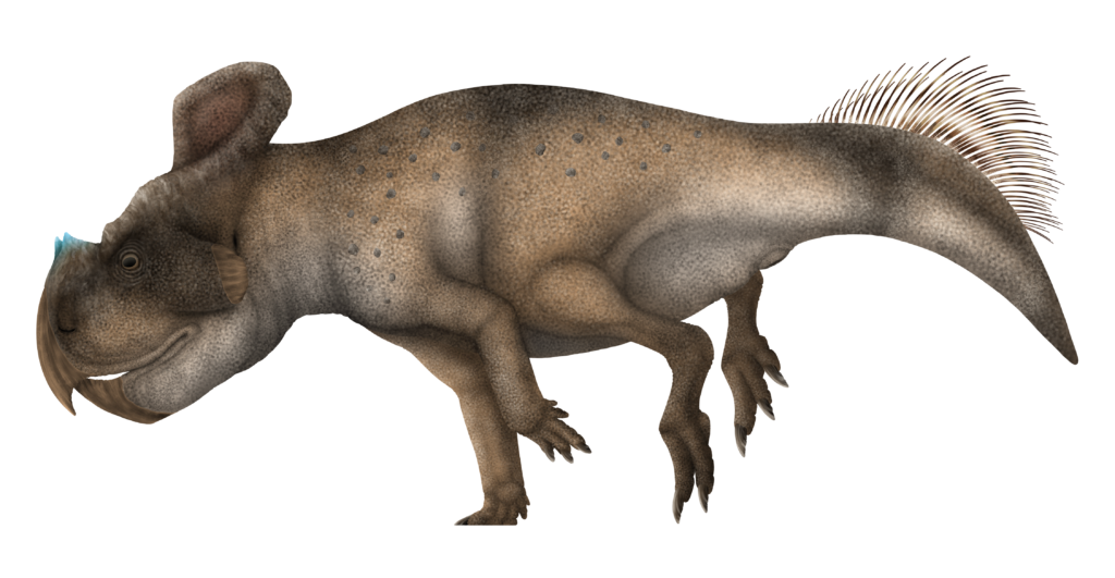 Illustration of a brown, four-legged dinosaur with a beak-like snout, frilled neck, and a spiky tail. Its textured skin is dotted, conveying a prehistoric feel.