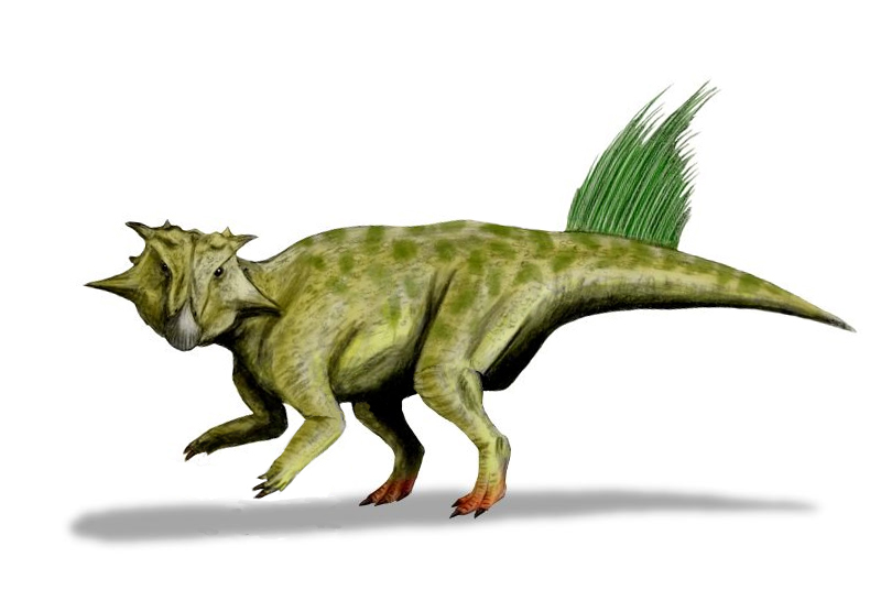 Illustration of a ceratopsid dinosaur with a green, speckled body and leafy hip crest. It has a frilled head and walks on four legs against a white background.