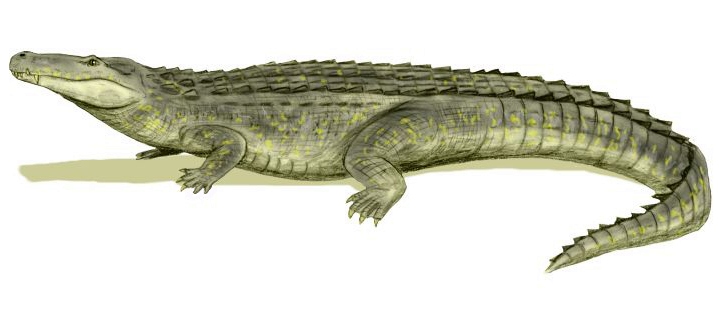 Illustration of a crocodile lays on a light background. The crocodile's rough, textured skin is green with yellowish patches, conveying realism and depicting tranquility.