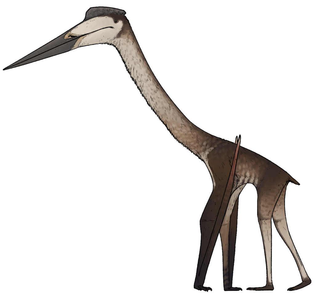 Illustration of a long-necked prehistoric bird with a spear-like beak and brown feathers, standing on two legs. It has a focused, intense gaze.