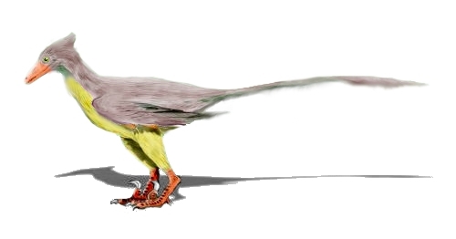 Illustration of a Rahonavis dinosaur with a pointed snout, feathered body, long tail, and green and red color accents, conveying a dynamic stance.