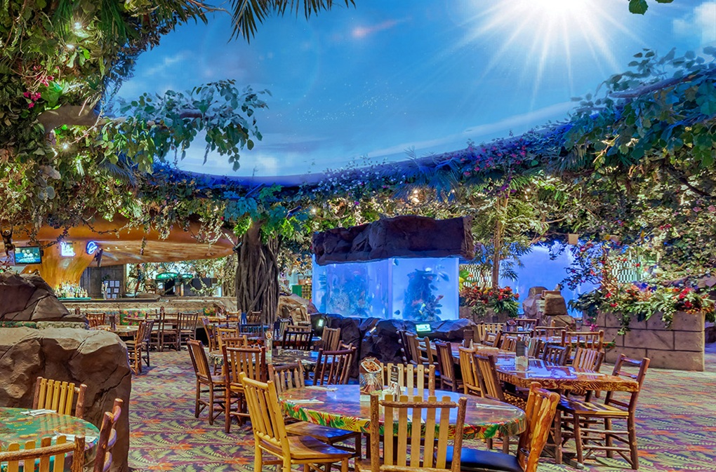 Rainforest Cafe’s Jurassic Junction Where Dinosaurs Meet Tropical Forest