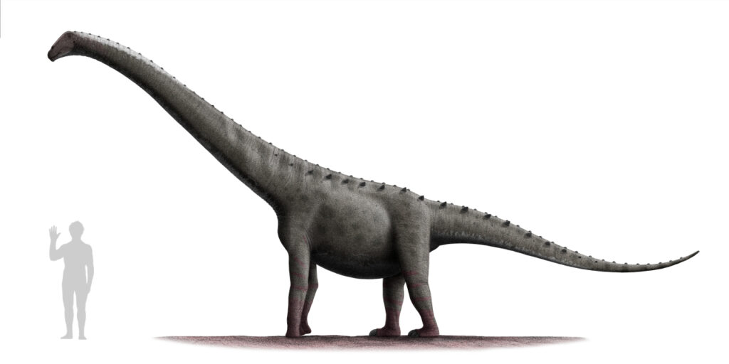 Illustration of a large, gray dinosaur with a long neck and tail, standing on four legs. A small human figure stands beside it for scale.