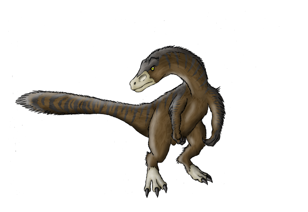 Illustration of a dinosaur with a long tail and striped brown feathers. It stands on two legs, displaying sharp claws and a fierce expression.