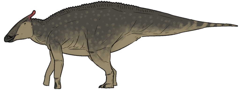 Illustration of a gray dinosaur with a red crest, depicted in profile. It has a bulky body, short arms, and a long tail, conveying a prehistoric feel.