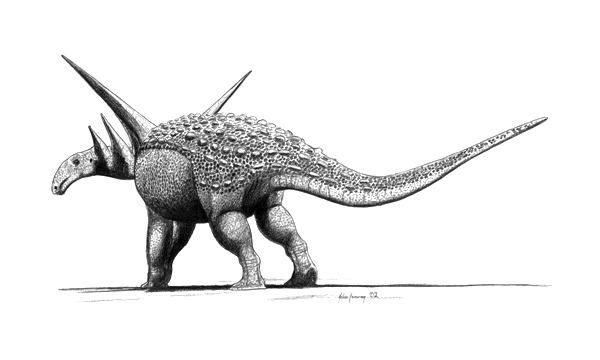 Black and white illustration of a Euoplocephalus, a dinosaur with a heavily armored body, clubbed tail, and prominent spikes. It stands powerfully and confidently.