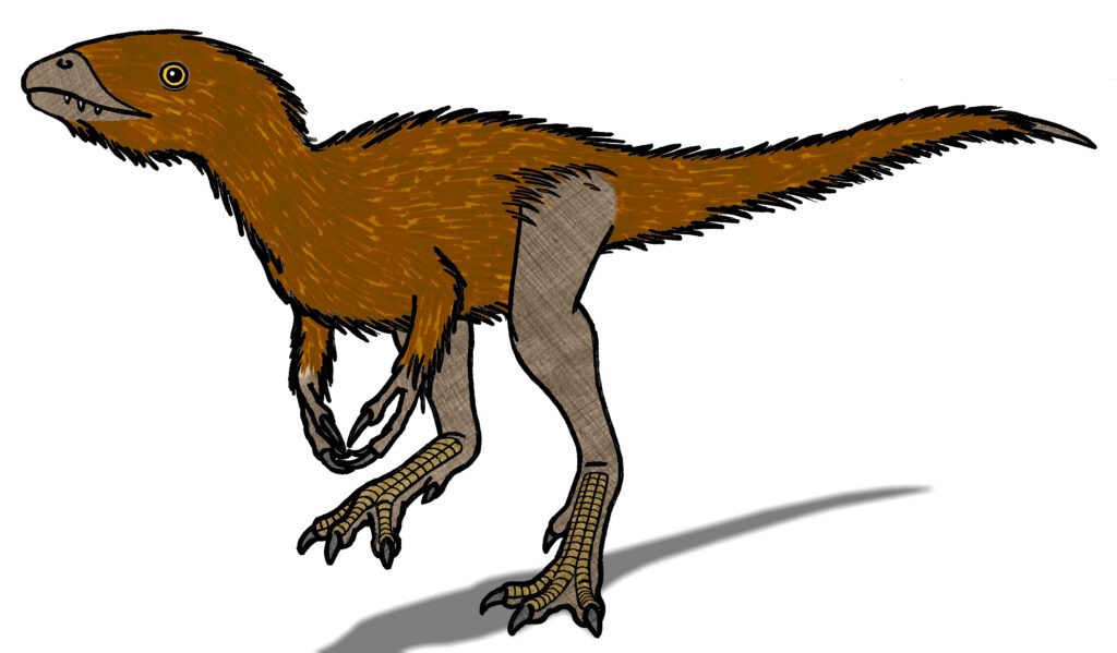Illustration of a brown, feathered dinosaur with a sharp beak, large yellow eyes, and clawed feet, standing on two legs. It casts a shadow on a white background.