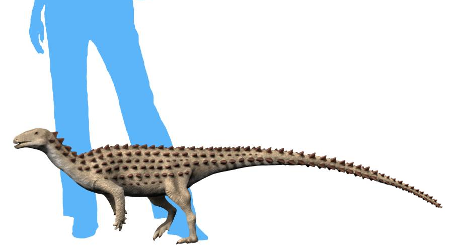 Scutellosaurus