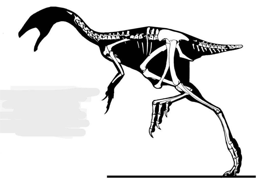 Silhouette of a dinosaur skeleton on a white background. The dinosaur stands on two legs, with a long tail and neck, conveying a dynamic posture.