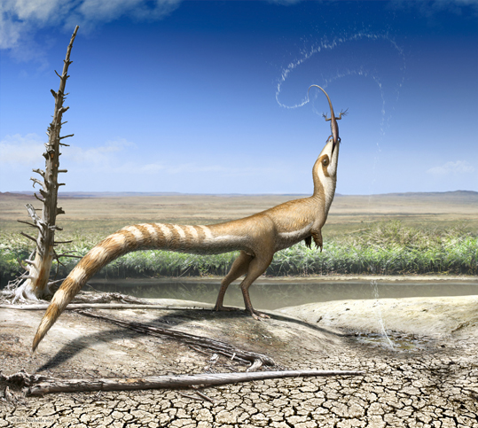 Sinosauropteryx The First Feathered Dinosaur Discovery