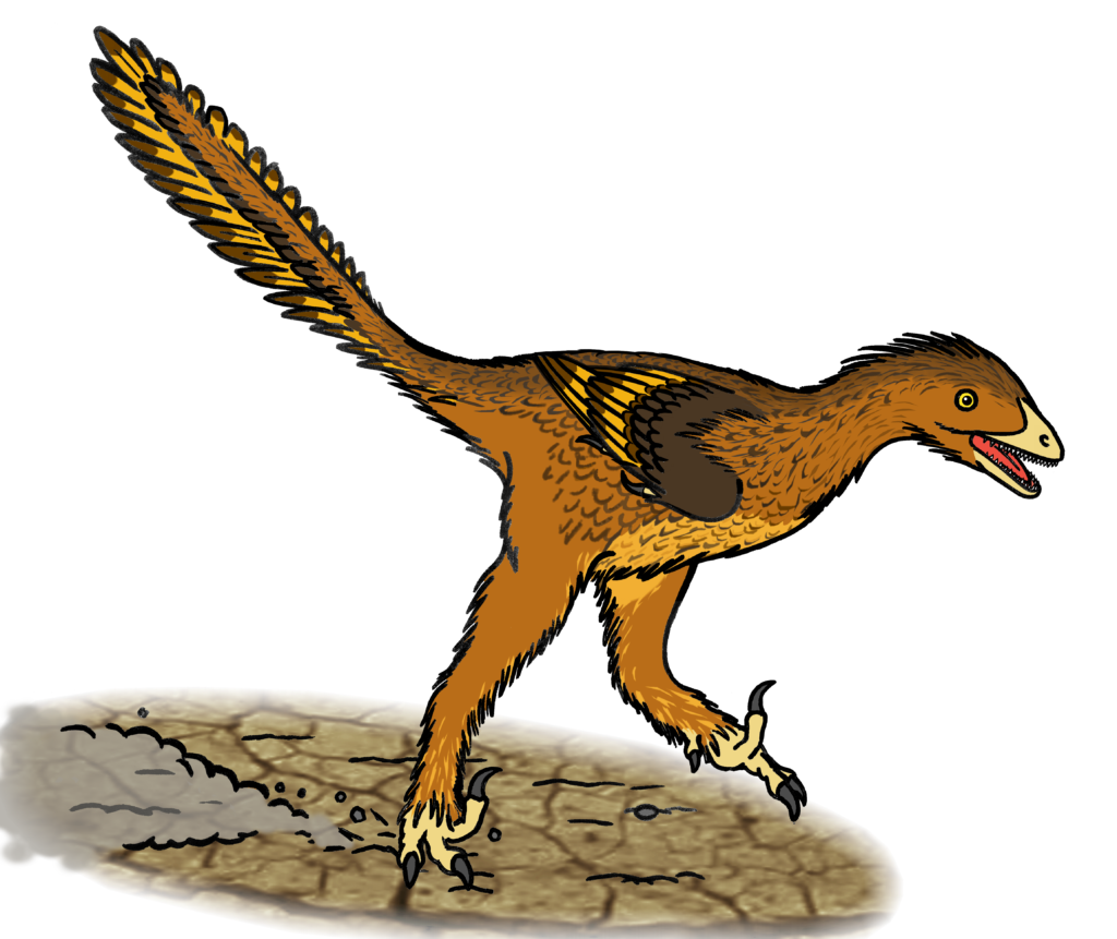 Illustration of a feathered dinosaur with brown and yellow plumage, running on cracked earth. It appears dynamic and energetic, with an open mouth and large eyes.