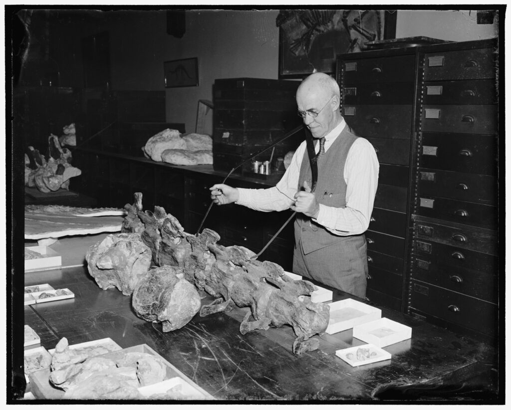 Paleontological Research at Smithsonian National Museum of Natural History