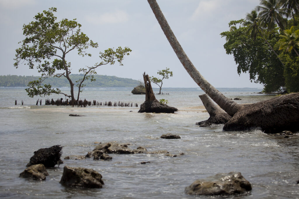 Coastal scene with shallow water, rocks, and tilted palm trees. A small island with trees is visible in the distance under a cloudy sky. Tranquil mood.