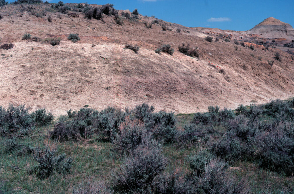 Arid landscape with dry, sandy hills and sparse vegetation. Green shrubs and sparse grass cover the foreground. Clear blue sky above.