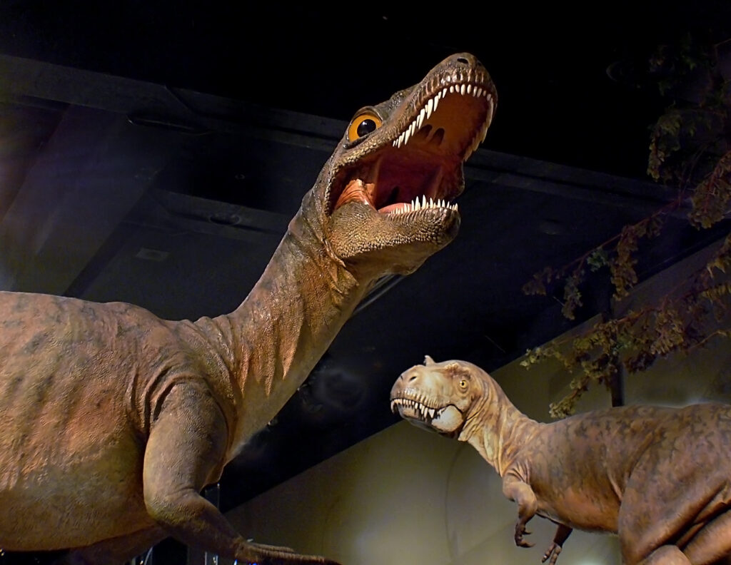 Two dinosaur models in a museum exhibit