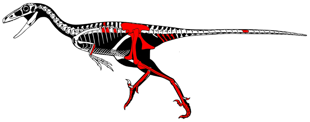 Skeletal Drawing of a Talos