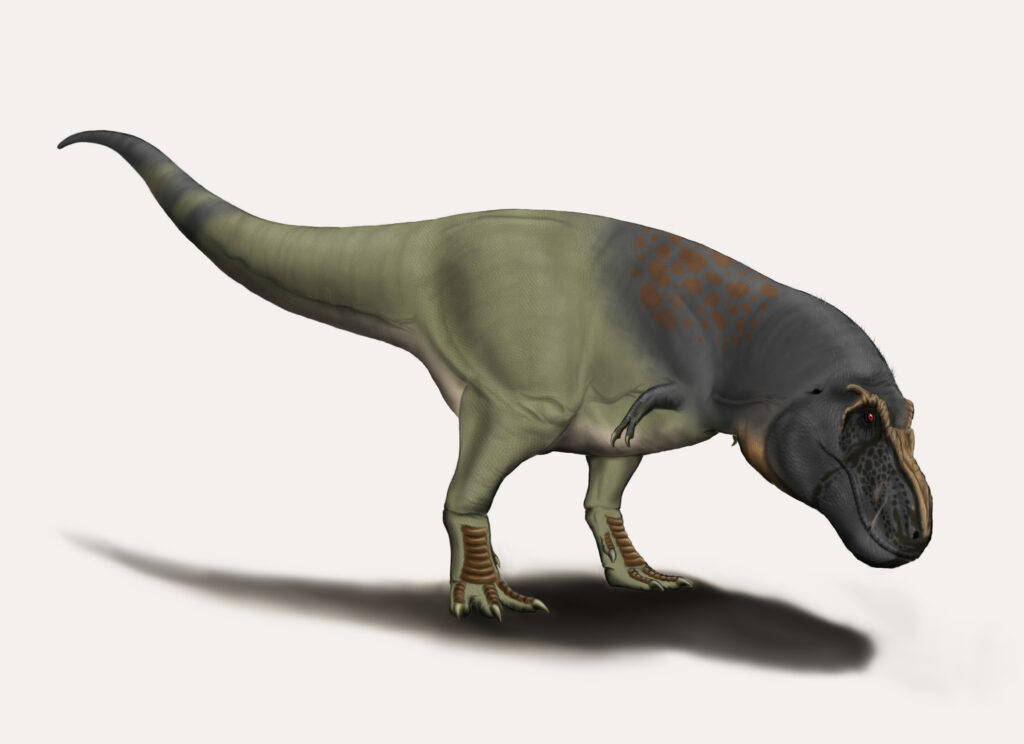 Illustration of a dinosaur with a large head and bumpy skin. It has a green body, dark patches, and small arms, appearing menacing and prehistoric.