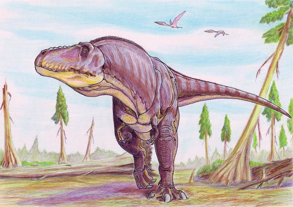 Illustration of a Tarbosaurus walking through a prehistoric forest under a blue sky. Several pterosaurs fly above, creating a dynamic, ancient atmosphere.