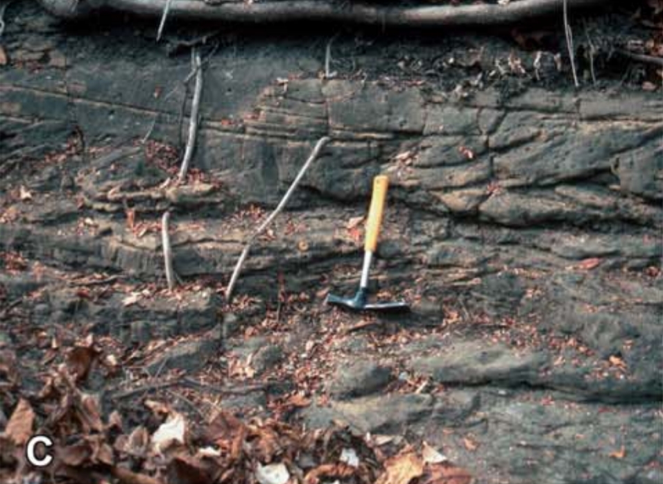 Geological rock formation with layered strata and a yellow-handled rockhammer for scale. Surrounding dried leaves suggest an outdoor setting.
