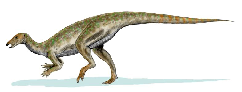 Illustration of an dinosaur with a long tail and snout. It has a mottled green and brown pattern on its skin, conveying a realistic prehistoric appearance.