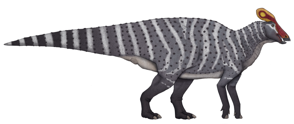 Illustration of a dinosaur with a long striped tail and gray, spotted body. It has a colorful crest on its head, set against a plain background.