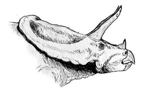 A detailed pencil drawing of a Torosaurus head in profile, showcasing its distinct horns and frill. The sketch conveys a sense of realism and texture.
