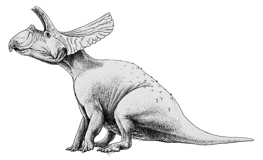 Detailed black and white illustration of a dinosaur with a large frilled head and beak-like mouth, showcasing textured skin and a spiked tail.