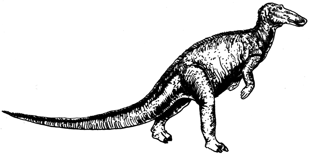 Black and white sketch of an Lambeosaurus dinosaur with a long tail and a beaked snout, standing on two legs. The texture is detailed and striking.